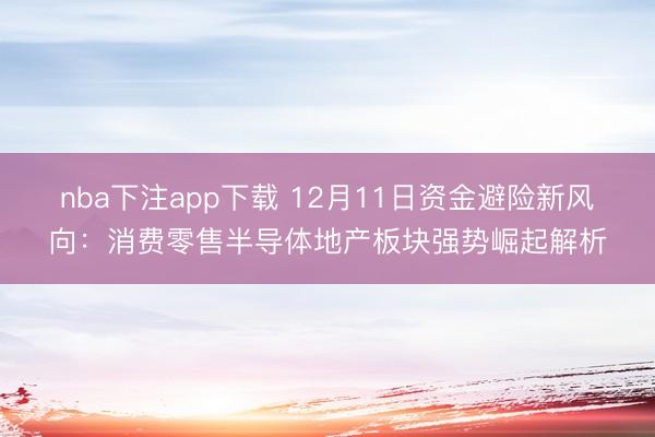 nba下注app下载 12月11日资金避险新风向：消费零售半导体地产板块强势崛起解析