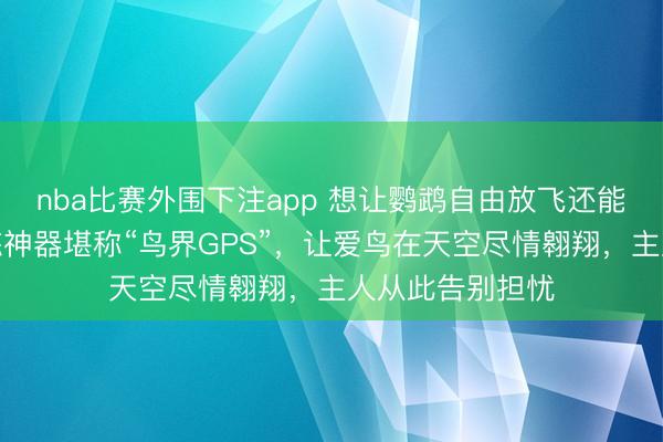 nba比赛外围下注app 想让鹦鹉自由放飞还能安心？这款训练神器堪称“鸟界GPS”，让爱鸟在天空尽情翱翔，主人从此告别担忧