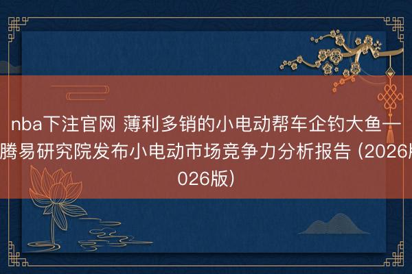 nba下注官网 薄利多销的小电动帮车企钓大鱼——腾易研究院发布小电动市场竞争力分析报告 (2026版)