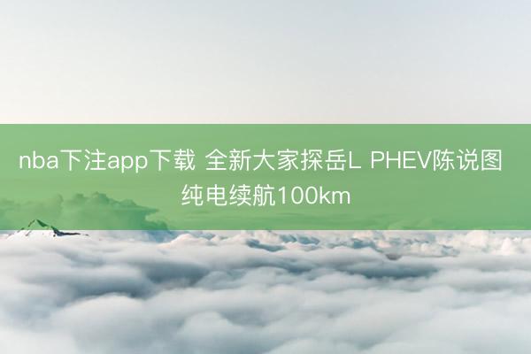nba下注app下载 全新大家探岳L PHEV陈说图 纯电续航100km