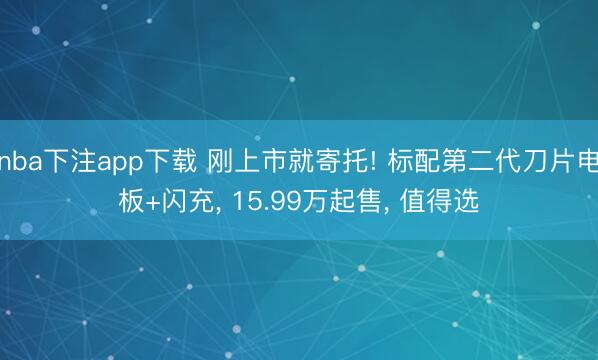 nba下注app下载 刚上市就寄托! 标配第二代刀片电板+闪充， 15.99万起售， 值得选