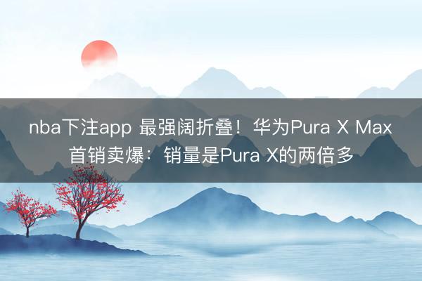 nba下注app 最强阔折叠！华为Pura X Max首销卖爆：销量是Pura X的两倍多