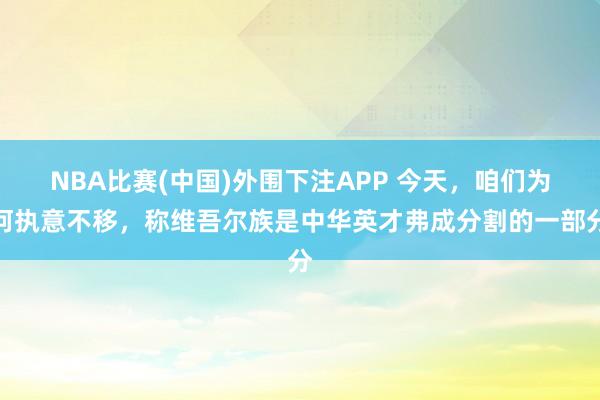 NBA比赛(中国)外围下注APP 今天,咱们为何执意不移,称维吾尔族是中华英才弗成分割的一部分