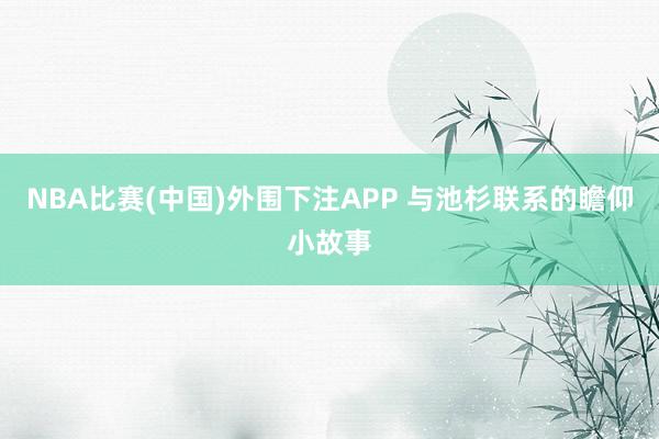 NBA比赛(中国)外围下注APP 与池杉联系的瞻仰小故事