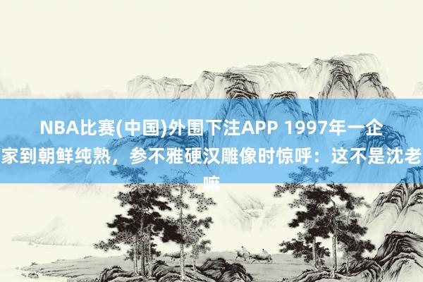 NBA比赛(中国)外围下注APP 1997年一企业家到朝鲜纯熟,参不雅硬汉雕像时惊呼:这不是沈老嘛