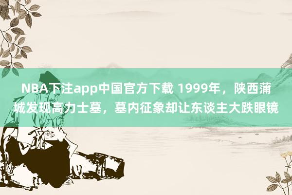NBA下注app中国官方下载 1999年，陕西蒲城发现高力士墓，墓内征象却让东谈主大跌眼镜
