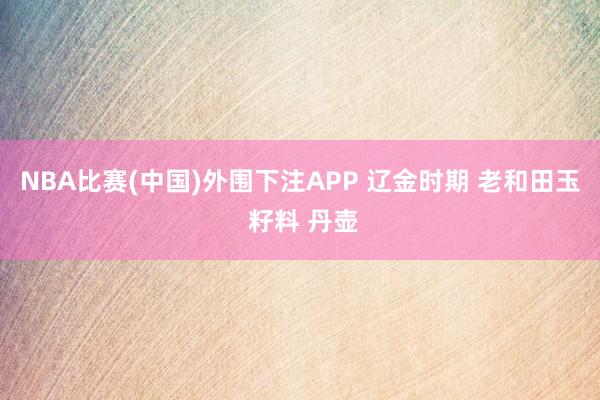 NBA比赛(中国)外围下注APP 辽金时期 老和田玉 籽料 丹壶