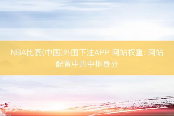 NBA比赛(中国)外围下注APP 网站权重: 网站配置中的中枢身分