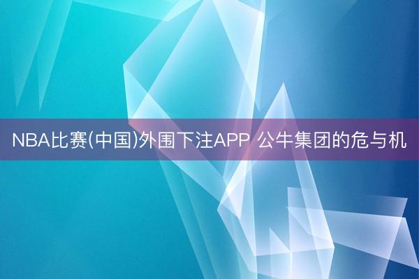 NBA比赛(中国)外围下注APP 公牛集团的危与机