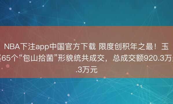 NBA下注app中国官方下载 限度创积年之最！玉溪65个“包山拾菌”形貌统共成交，总成交额920.3万元