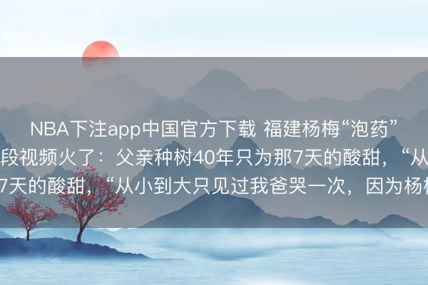 NBA下注app中国官方下载 福建杨梅“泡药”风云下，浙江仙居密斯一段视频火了：父亲种树40年只为那7天的酸甜，“从小到大只见过我爸哭一次，因为杨梅树倒了”
