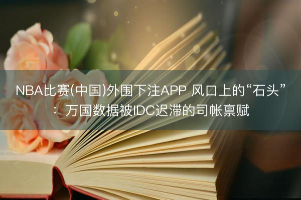 NBA比赛(中国)外围下注APP 风口上的“石头”：万国数据被IDC迟滞的司帐禀赋