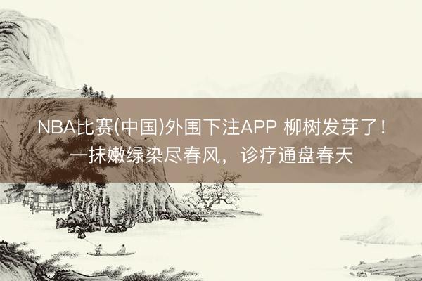 NBA比赛(中国)外围下注APP 柳树发芽了！一抹嫩绿染尽春风，诊疗通盘春天