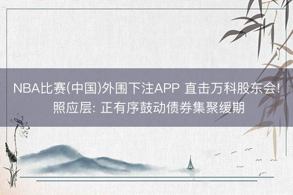 NBA比赛(中国)外围下注APP 直击万科股东会! 照应层: 正有序鼓动债券集聚缓期