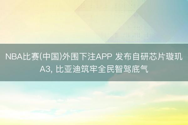 NBA比赛(中国)外围下注APP 发布自研芯片璇玑A3, 比亚迪筑牢全民智驾底气