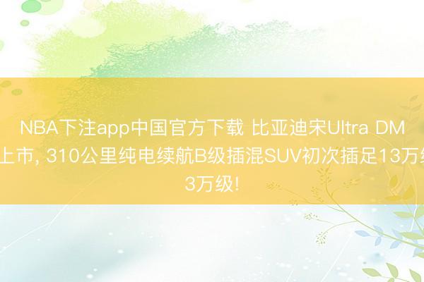 NBA下注app中国官方下载 比亚迪宋Ultra DM-i上市， 310公里纯电续航B级插混SUV初次插足13万级!