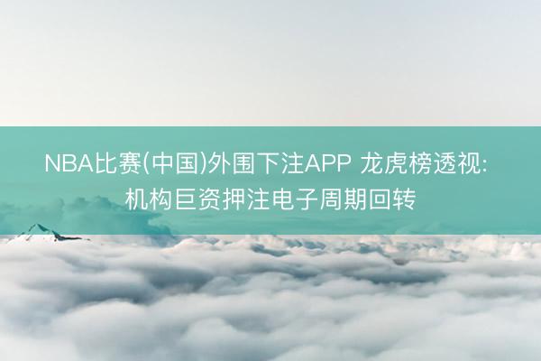 NBA比赛(中国)外围下注APP 龙虎榜透视: 机构巨资押注电子周期回转