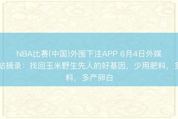 NBA比赛(中国)外围下注APP 6月4日外媒科学网站摘录：找回玉米野生先人的好基因，少用肥料，多产卵白