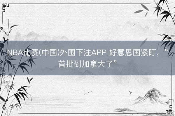 NBA比赛(中国)外围下注APP 好意思国紧盯，“首批到加拿大了”