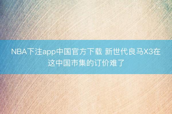 NBA下注app中国官方下载 新世代良马X3在这中国市集的订价难了