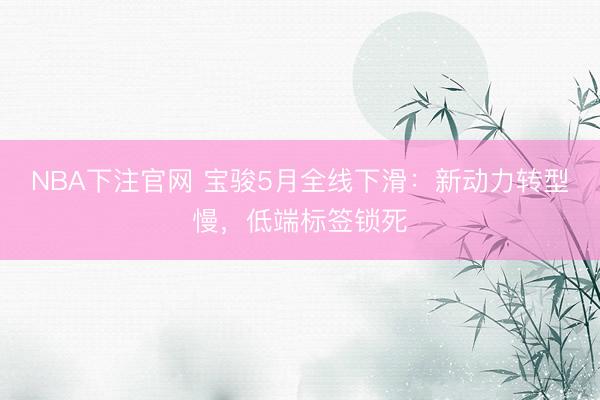 NBA下注官网 宝骏5月全线下滑：新动力转型慢，低端标签锁死