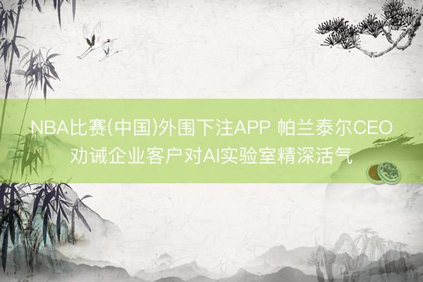 NBA比赛(中国)外围下注APP 帕兰泰尔CEO劝诫企业客户对AI实验室精深活气