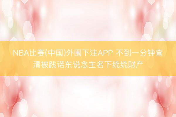 NBA比赛(中国)外围下注APP 不到一分钟查清被践诺东说念主名下统统财产